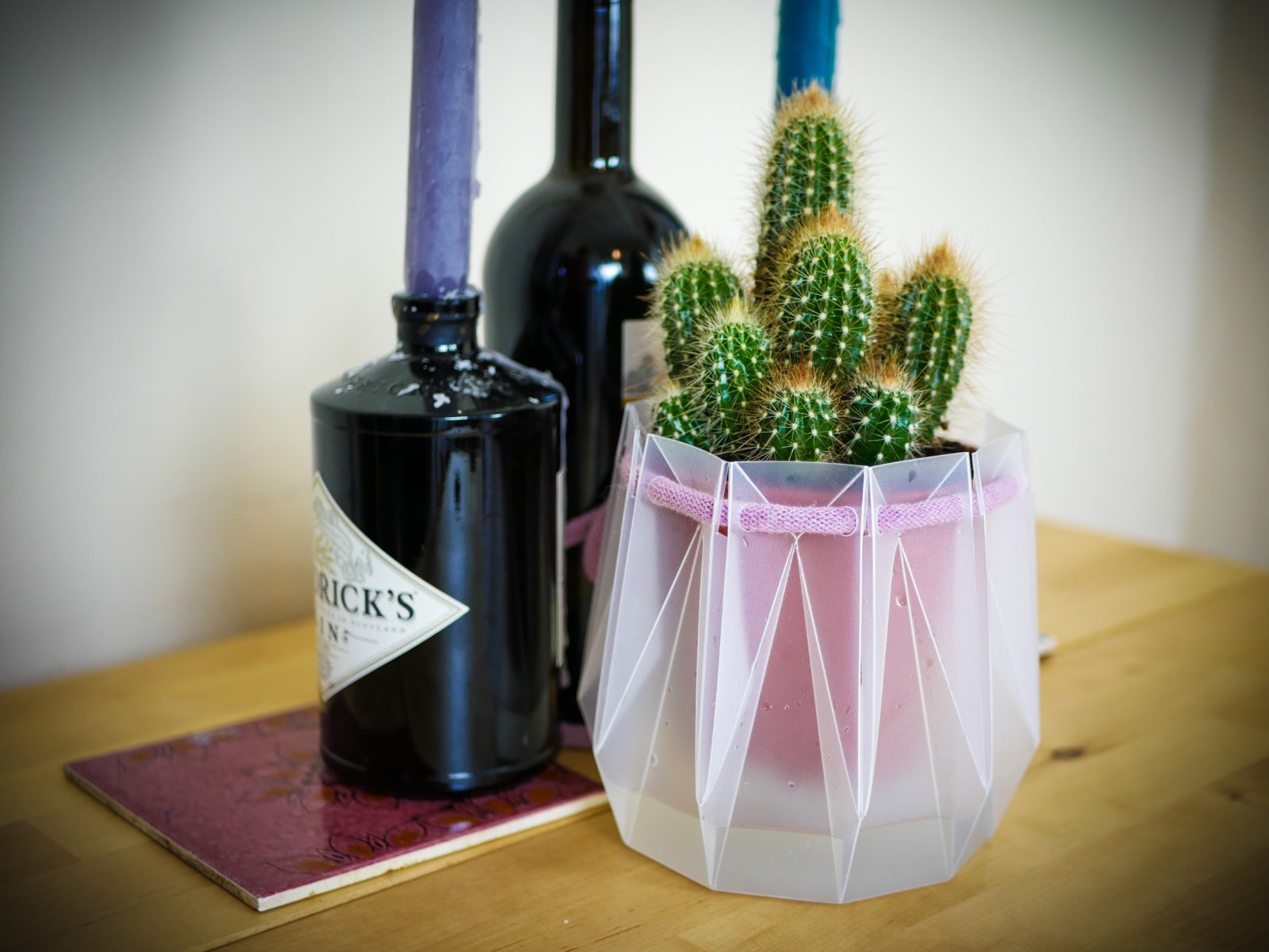 cactus in pot among other house hold objects