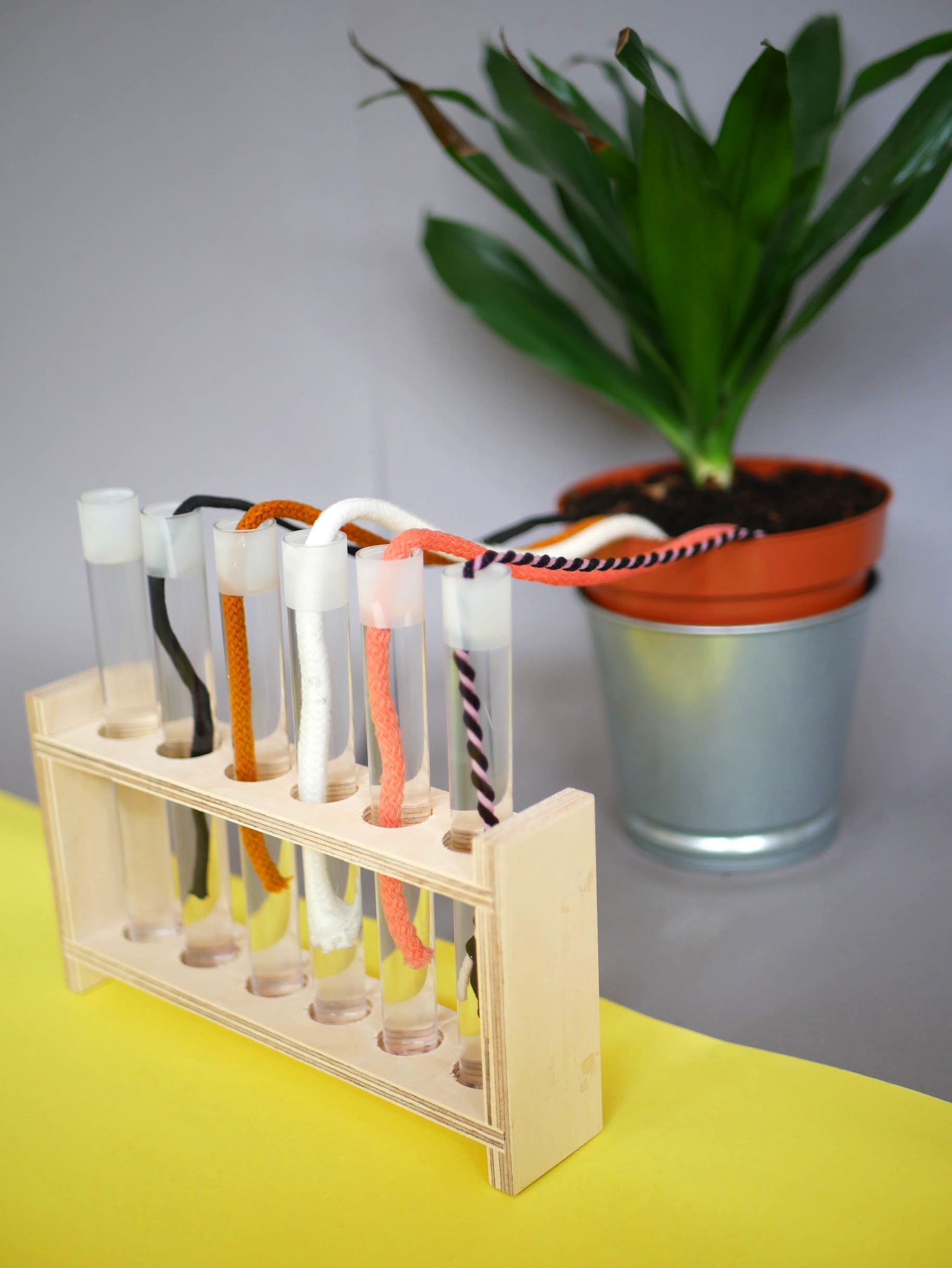 Bobbiny cotton cords in many colours watering plant